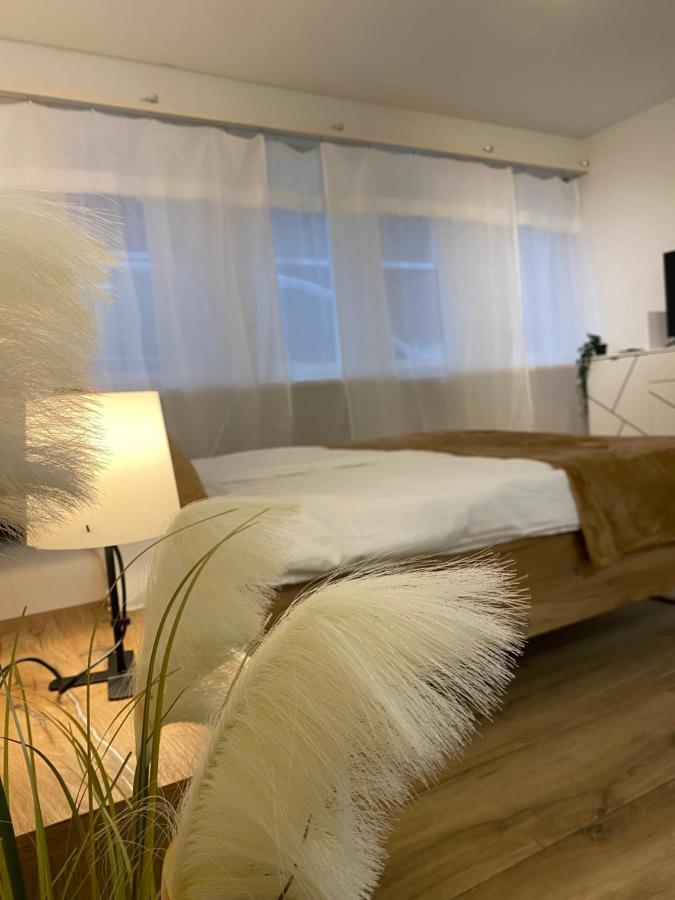 Eine Schoene Wohnung Am Messeplatz 바젤 외부 사진